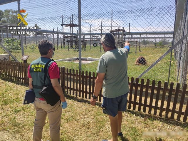 Operación Petaurista, dos primates robados fueron hallados en la parada de un autobús