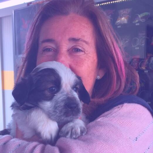 Carmen Manzano, presidenta de las Asociaciones de Animales y Plantas de Málaga