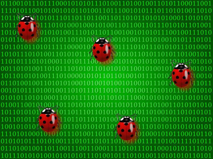 Bug bounty