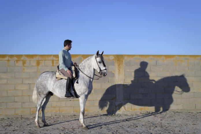 Los hombres y los caballos sufren el virus del Nilo, pero no lo transmiten