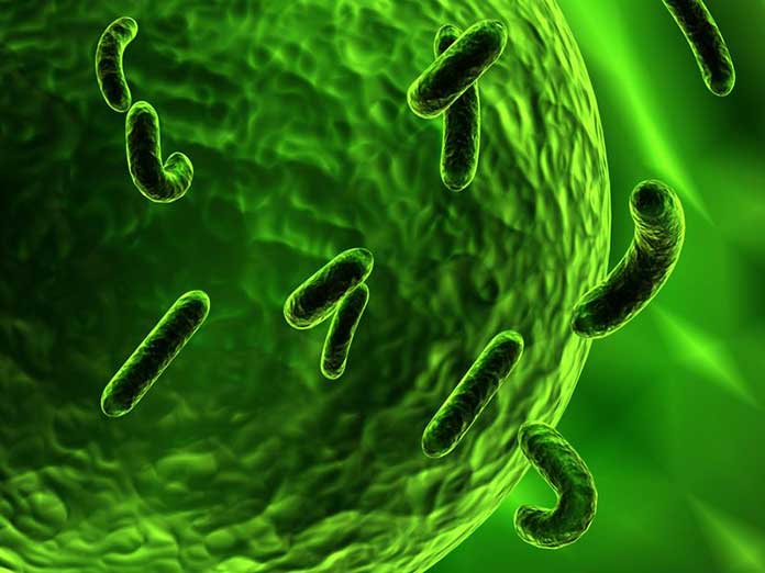 bacterias-asesinas-que-atacan-a-las-células bacterias-asesinas-que-atacan-a-las-células