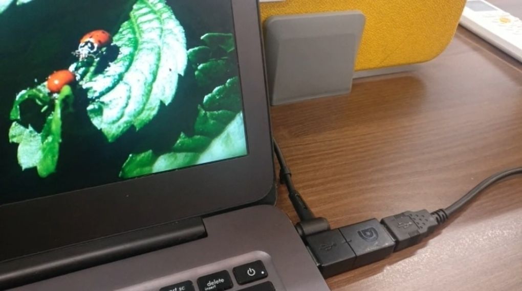 Cable de USB interruptor de hombre muerto Buskill