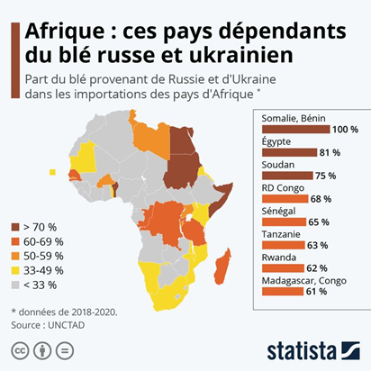 Dependencia del trigo ruso y/o ucraniano en los países de África.