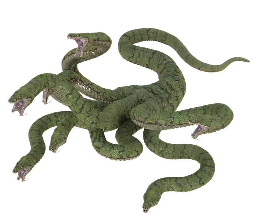 hydra market
