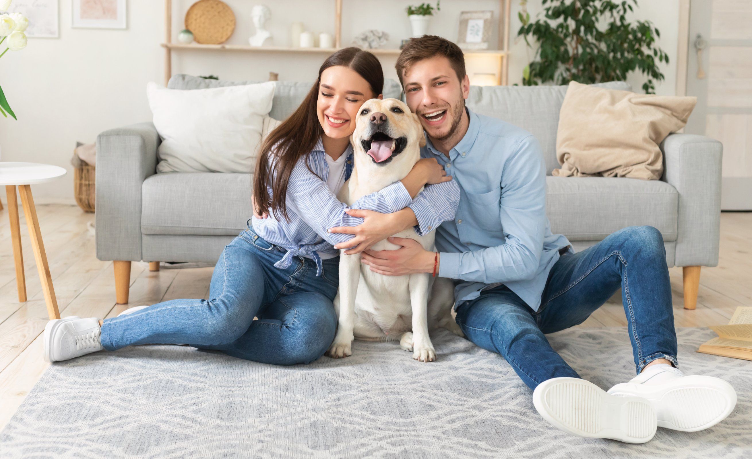 Movistar Prosegur Alarmas ha lanzado el pack MPA "PetReady", dirigido específicamente a los hogares con mascotas
