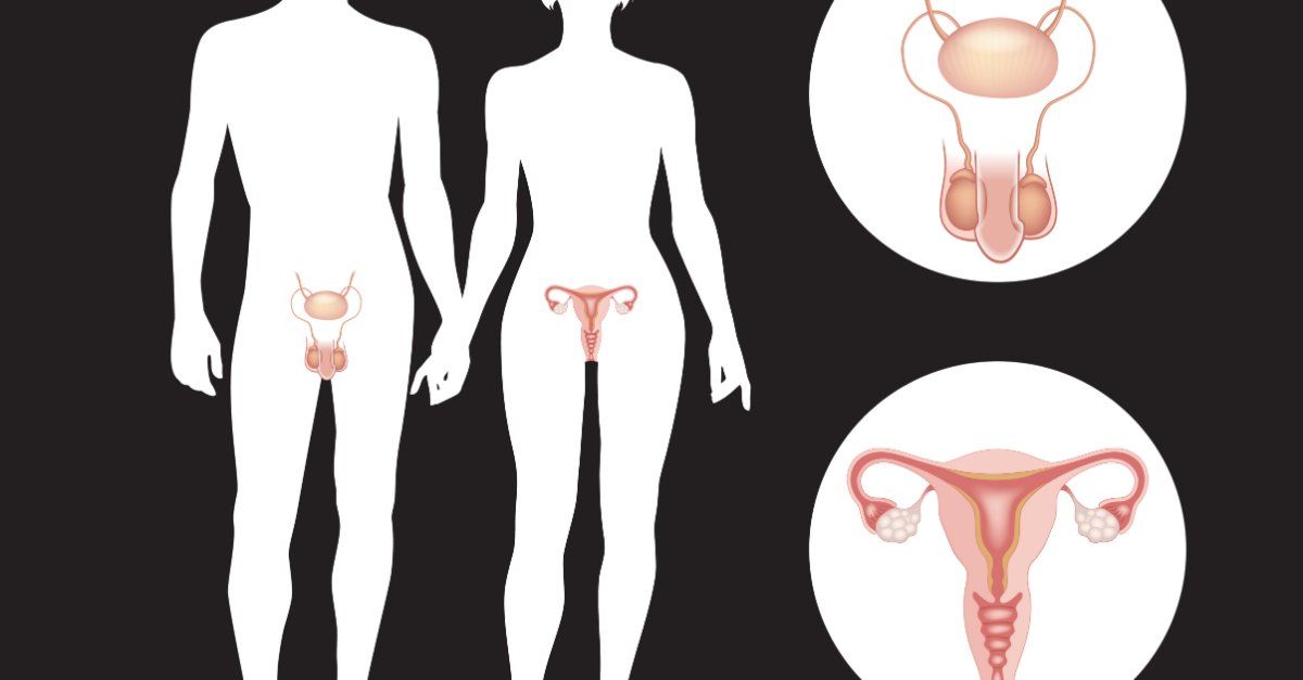 Los datos de la salud sexual y reproductiva de los ciudadanos son muy sensibles. Los datos de la salud sexual y reproductiva de los ciudadanos son muy sensibles.