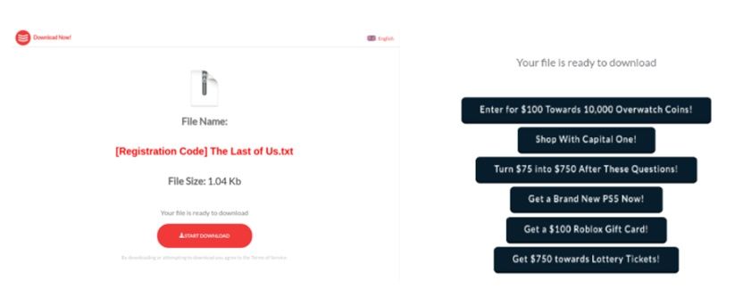 Web de phishing que ofrece la activación del código para ‘The Last of Us’ (Fuente: Kaspersky)