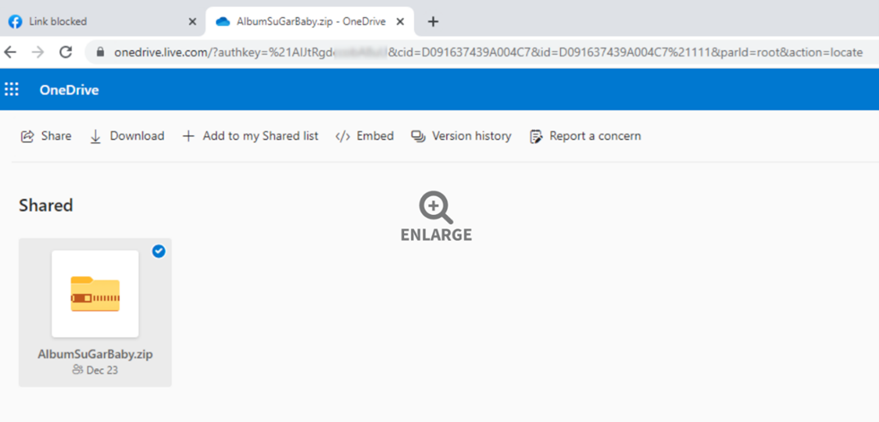 Álbum de fotos que contiene el malware, subido a una cuenta de Microsoft OneDrive.