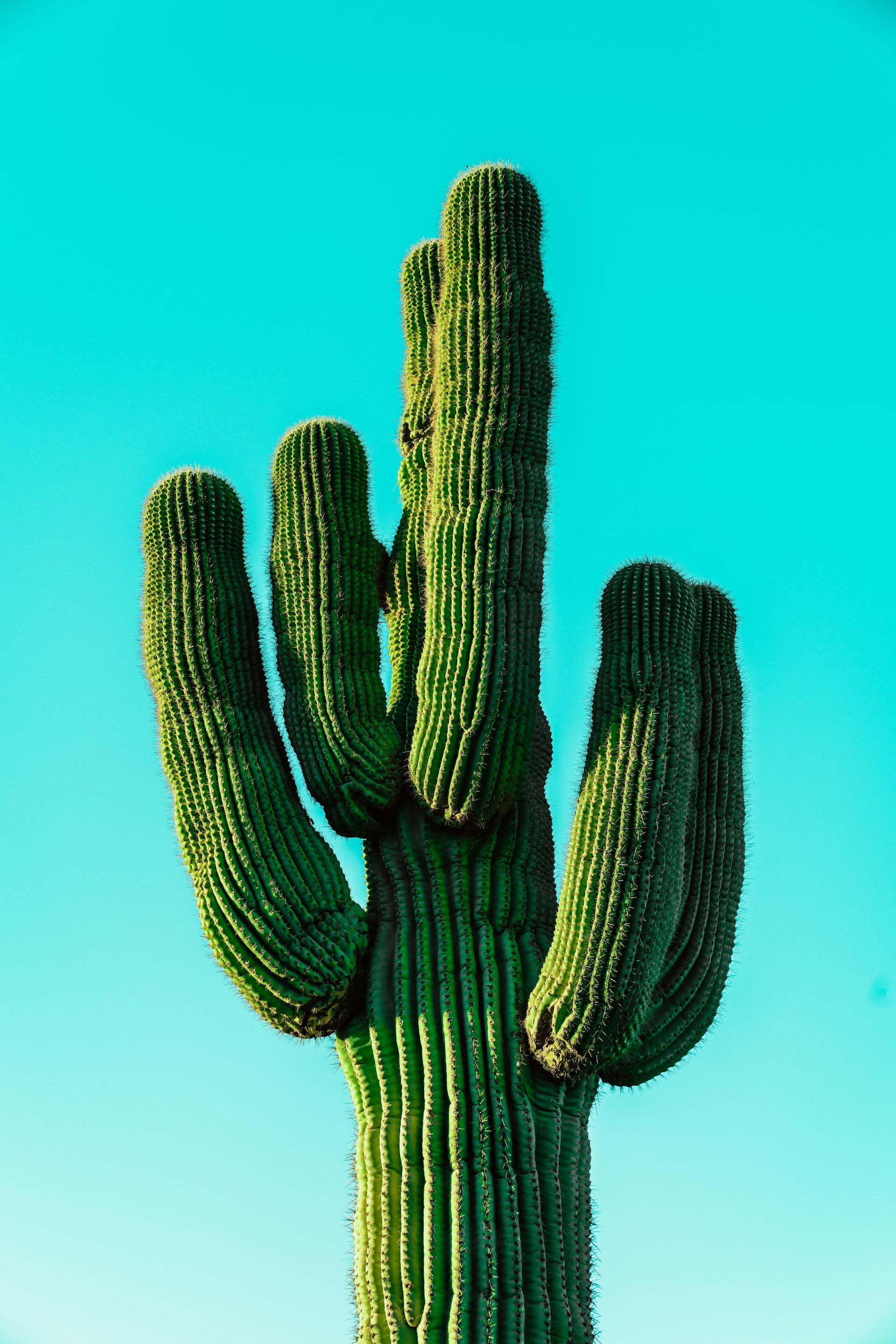 meritt thomas lW5yf EQFDs unsplash meritt thomas lW5yf EQFDs unsplash