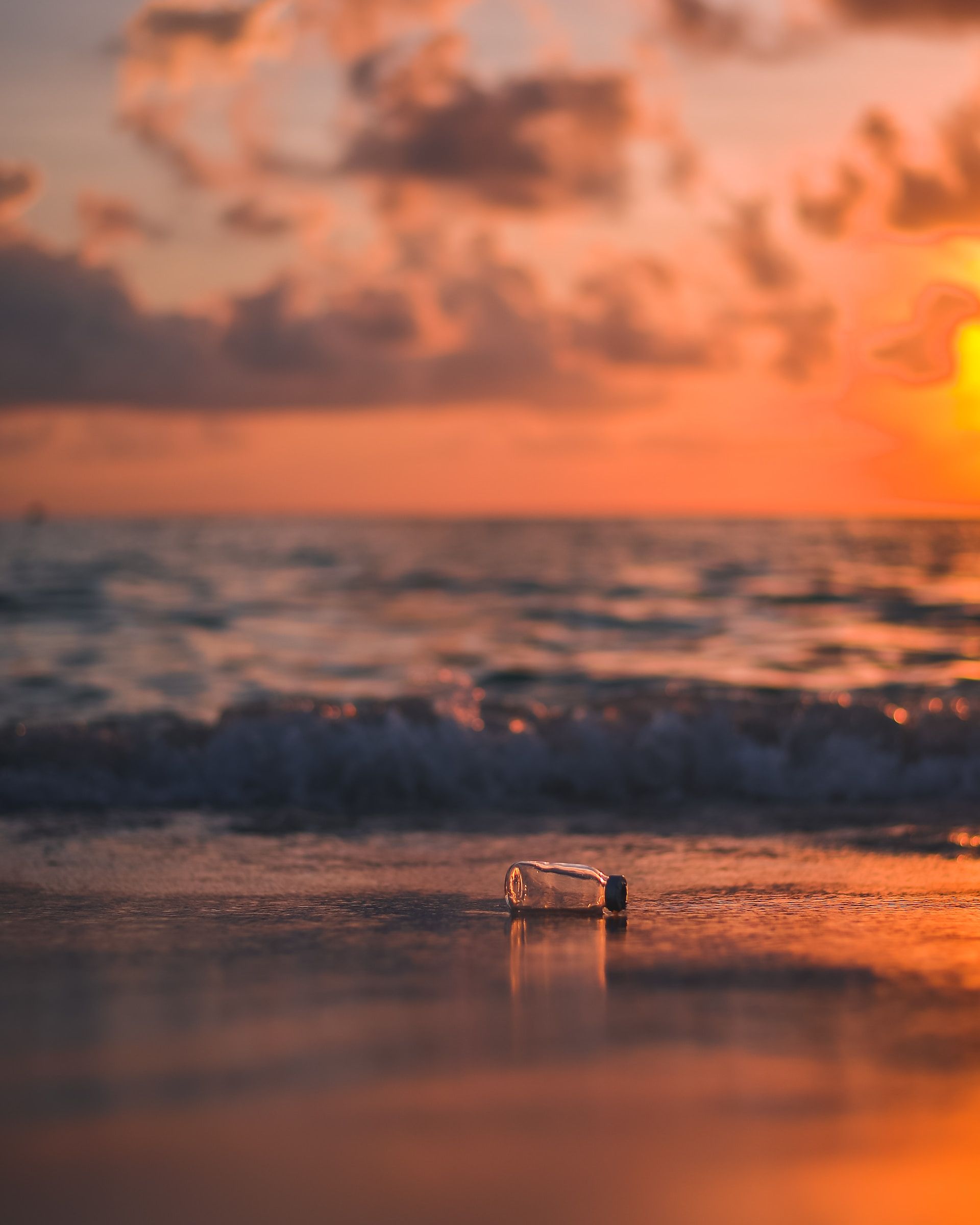 javardh l0Yt7XMw yk unsplash javardh l0Yt7XMw yk unsplash