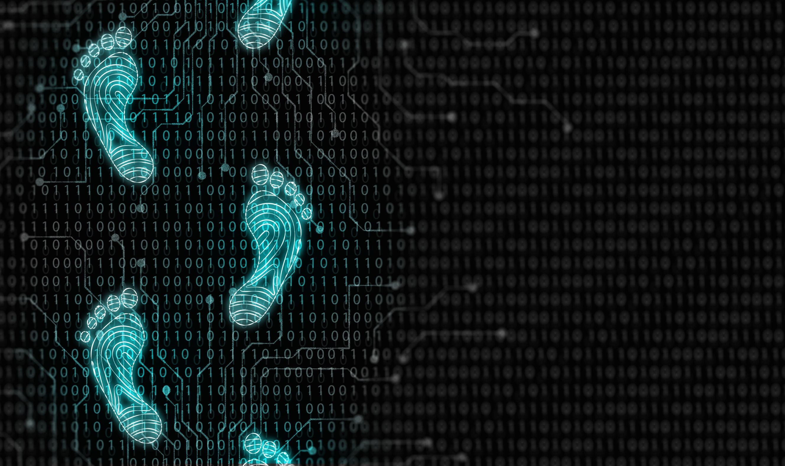 El rastro digital puede ser usado para vulnerar sistemas y realizar posteriores ataques.