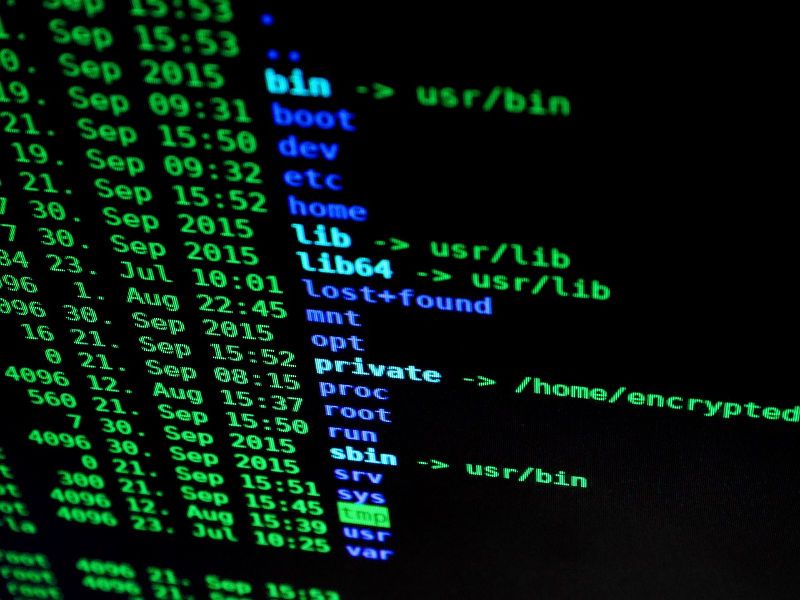 Hackers. Hackers.