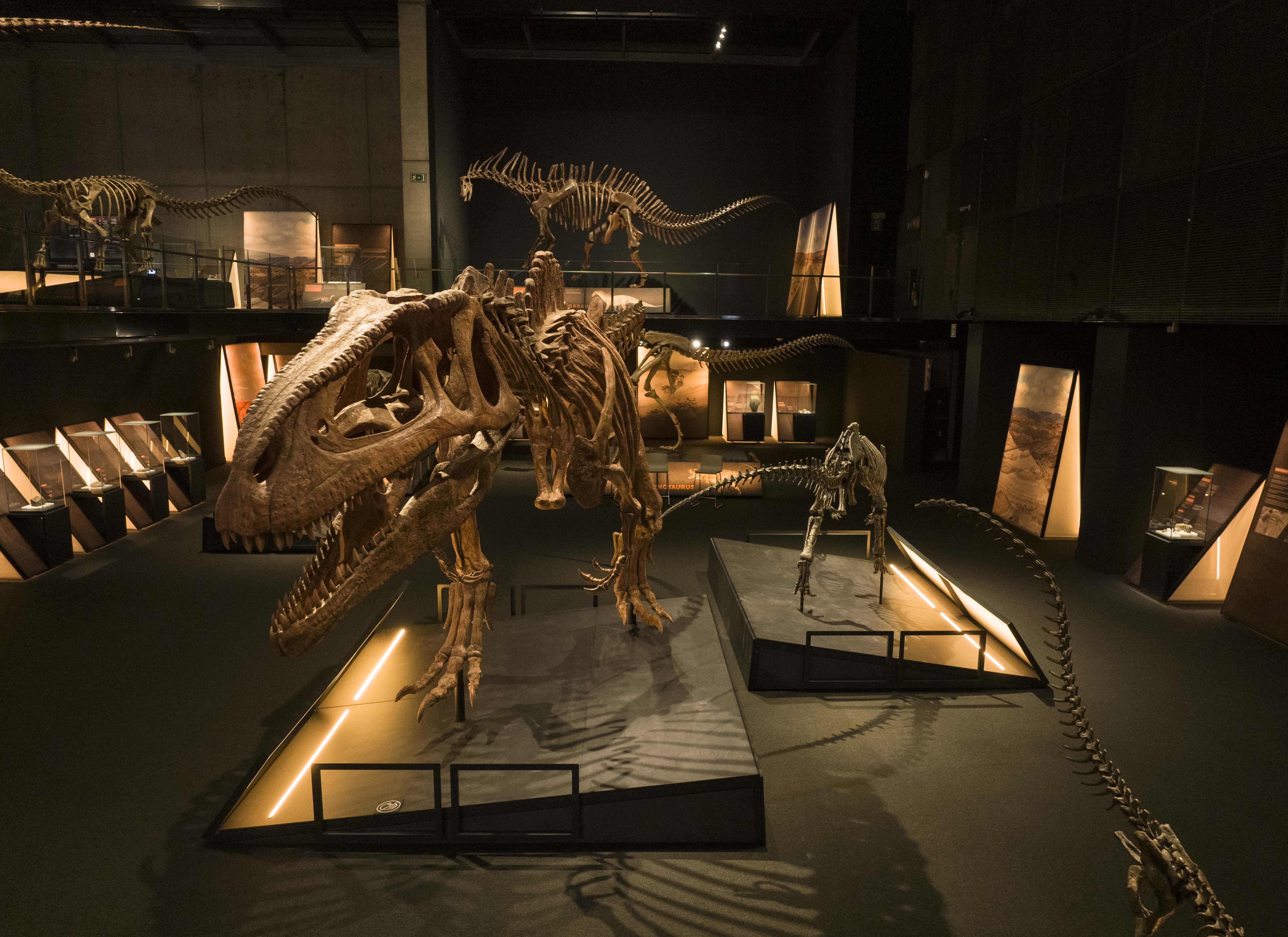 El Tyrannotitan chubutensis era otra de las especies más grandes de la antigua Patagonia.