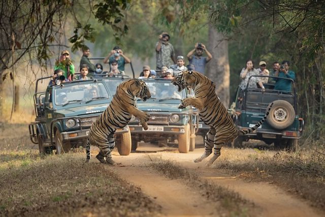 © Narayan Malu/TNC Photo Contest 2023 © Narayan Malu/TNC Photo Contest 2023