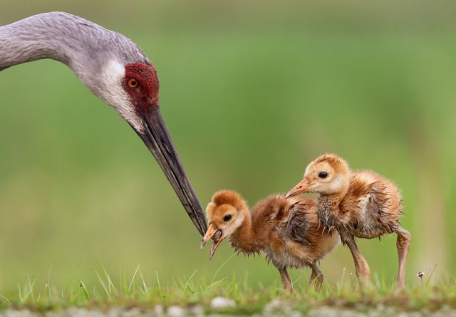© Mario Labado/TNC Photo Contest 2023 © Mario Labado/TNC Photo Contest 2023
