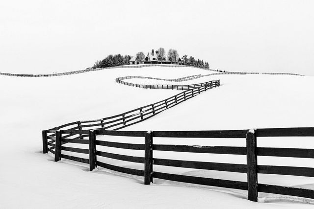 © Zhenhuan Zhou/TNC Photo Contest 2023 © Zhenhuan Zhou/TNC Photo Contest 2023