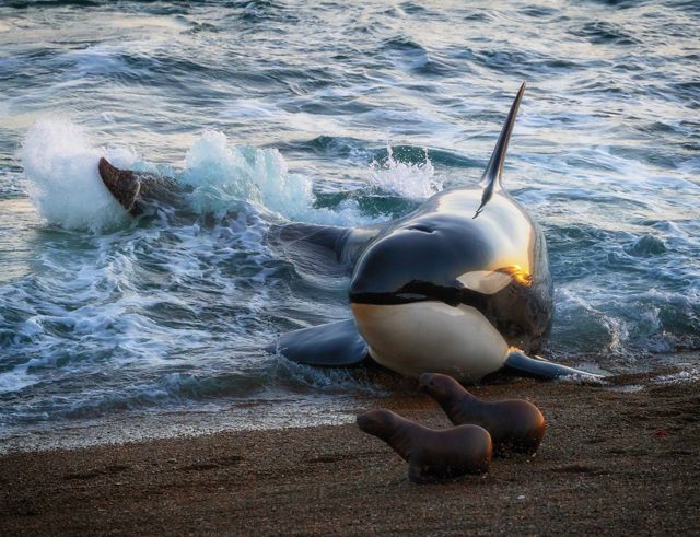 © HJ Yang/TNC Photo Contest 2023 © HJ Yang/TNC Photo Contest 2023