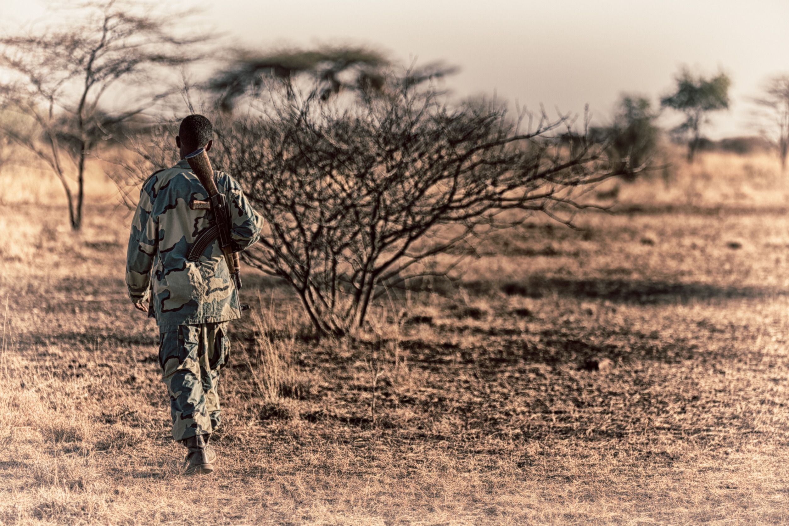 Todos los países africanos deben estar interconectados para combatir el terrorismo. 
