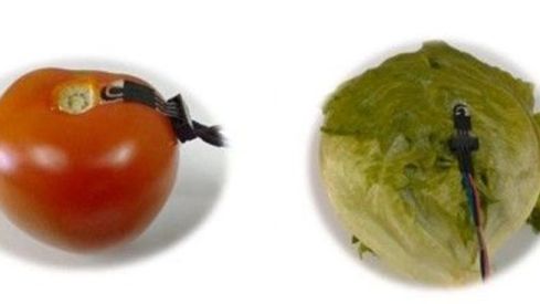 Así son los sensores de pesticidas para medir agroquímicos en vegetales (Imagen de Science Direct) Así son los sensores de pesticidas para medir agroquímicos en vegetales (Imagen de Science Direct)