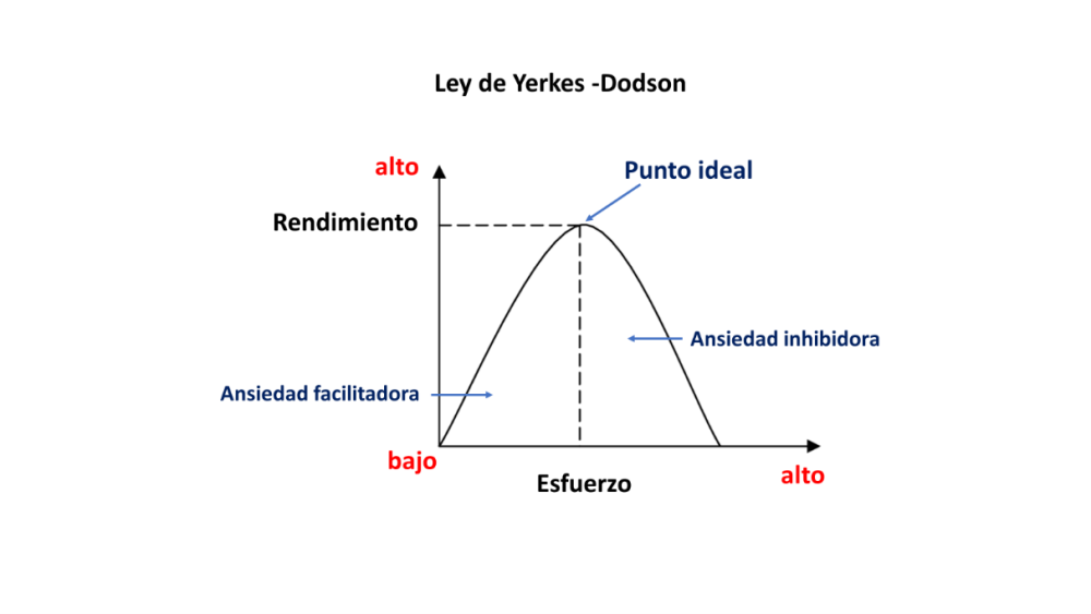 Ley Yerkes Dodson. Ley Yerkes Dodson.
