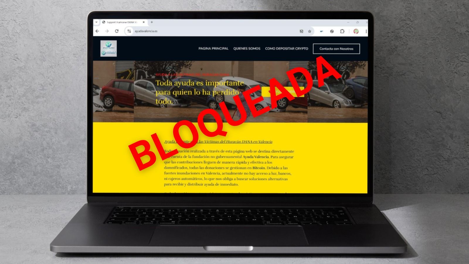 Imagen de la web fraudulenta de ayuda a Valencia. Foto: Mintradigital.